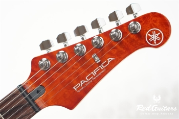 PACIFICA212VQM - Caramel Brown